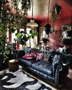 a living room filled with furniture and lots of plants hanging from the ceiling above it