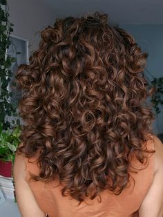 Shoulder Length Curly Hair Layers, Golden Brown Highlights Curly Hair, Hair Colour For Curly Hair, Short Layered Curly Haircuts, Chocolate Brown Curly Hair, Layered Curly Haircuts, Hair Stayl, Highlights Curly Hair