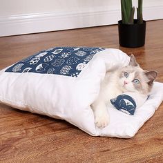 a white cat laying on top of a pillow on the floor next to a potted plant