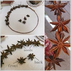 four different stages of star anisets being used to make necklaces and bracelets