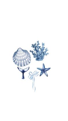 two blue sea shells and starfish on a white background with watercolor drawing style