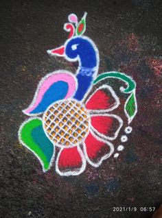 the colorful peacock is painted on the ground