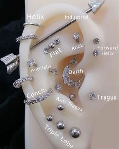 an ear with different types of piercings on it