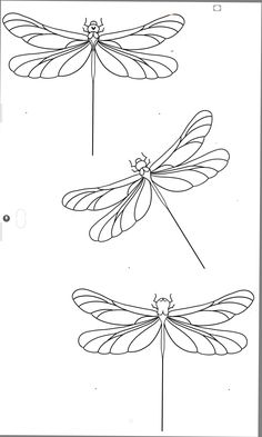 three dragonflys are shown in black and white, one is drawn on paper