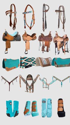 several different types of saddles and bridles are shown in this set up