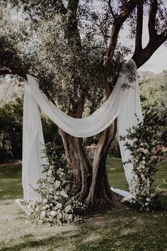 an outdoor ceremony with white draping and flowers on the tree trunk, surrounded by greenery