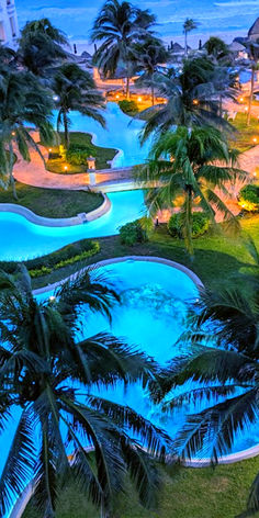 an aerial view of a resort pool at night with palm trees in the foreground