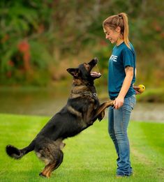 a woman is playing with her dog in the grass