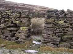 an old stone wall with snow on the ground and grass growing in between it's sides