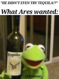 kermie the frog holding a bottle of wine with caption that reads he didn't even try tequila? what are you wanted