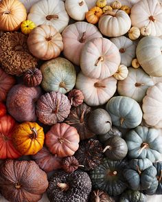 many different types of pumpkins on display