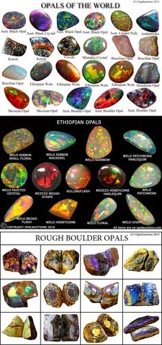 the different types of opals are shown in this poster, and there is also an image