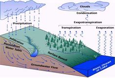 the water cycle is shown in this diagram, as well as other types of water