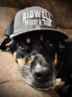 Bidwell Wood & Iron hats are by Richardson model 112, adjustable classic trucker style built with the Richardson quality and fit you’ve come to expect. Papua New Guinea, Mozambique, Ethiopia, Black And Grey, Hats, Wood, Gold, Black