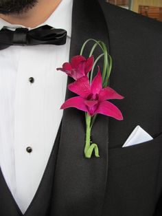 a man in a tuxedo with a pink flower on it's lapel