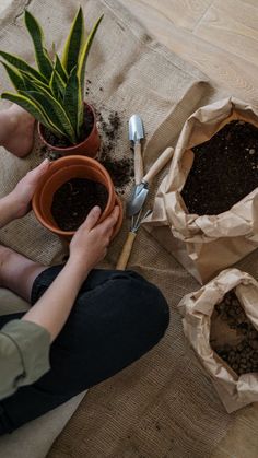 a person is sitting on the floor next to some potted plants and gardening utensils