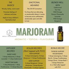 Marjoram Oils For Energy, Essential Oil Remedy, Ginger Essential Oil, Cedarwood Oil, Patchouli Essential Oil, Essential Oil Diffuser Blends