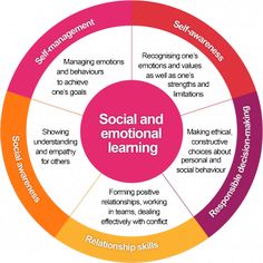 The components of the social and emotional learning framework. Circles Social Skills Program, Emotion Behavior Wheel, Emotional Zones For Kids, Ruler Social Emotional Learning, Learning Framework, Social Emotional Activities, Social Emotional Development, Social Behavior, Social Development