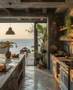 a kitchen with an ocean view is shown in this image, and there are plants on the counter