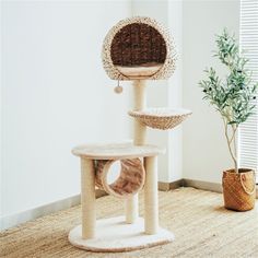 a cat tree in the corner of a room with a potted plant next to it