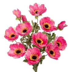 a bunch of pink flowers sitting in a vase