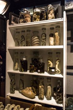 shelves filled with jars and other items in a room