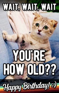 a cat sitting on top of a couch with the caption, wait, wait you're how old? happy birthday