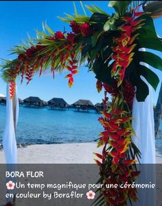 an arch decorated with red flowers and greenery on the beach in bora flor