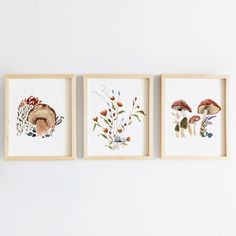 three framed pictures with mushrooms and flowers on them