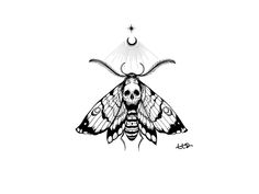 a black and white drawing of a moth with the moon above it's head