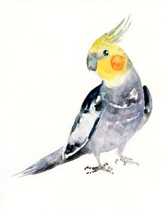 a watercolor painting of a bird with yellow and gray feathers on it's head