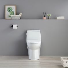 a white toilet sitting in a bathroom next to a shelf