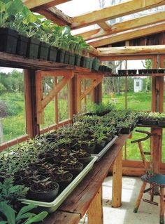 the inside of a greenhouse with many plants growing in it