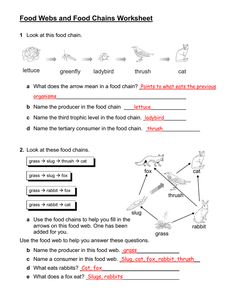 food webs and food chains worksheet with pictures on the page, which is also