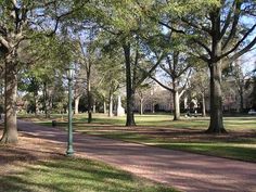 a park with lots of trees and grass