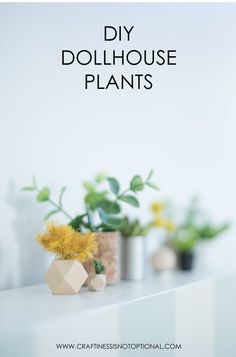 three potted plants with the words diy dollhouse plants on them in black and white