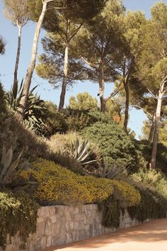 there are many trees and bushes on this hill side area that is lined with stone walls