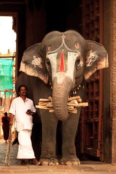 a man standing next to an elephant statue