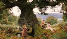 three people sitting under a large tree in the woods