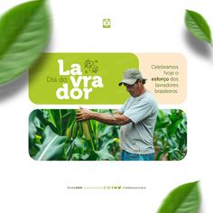 a man is picking leaves from a plant with the caption la dia de vara dor