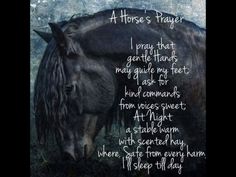 a horse's prayer written in white ink on a black background with an image of a brown horse