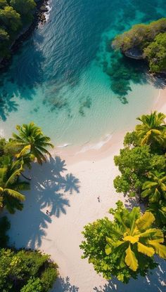 an aerial view of a tropical beach with blue water and palm trees in the foreground