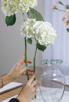 a woman is arranging white flowers in a vase