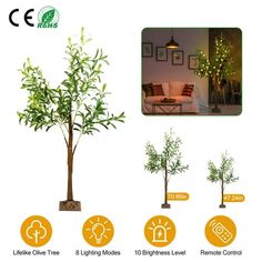 the different types of trees are shown in this graphic above it is an image of living room with couches, coffee table and lamp