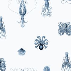 an octopus and other sea creatures are depicted in this blue - white photo, which appears to be part of a wallpaper