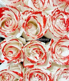 red and white roses are arranged together