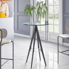 a glass table with two chairs and a potted plant