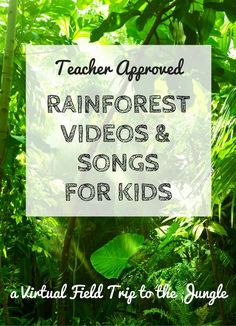 rainforest videos and songs for kids with text overlay that reads teacher approved rainforest videos & songs for kids