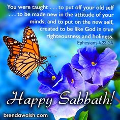 an image of a butterfly and flowers with the words happy sabath on it