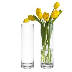 two clear vases with yellow flowers in them on a white background, side by side